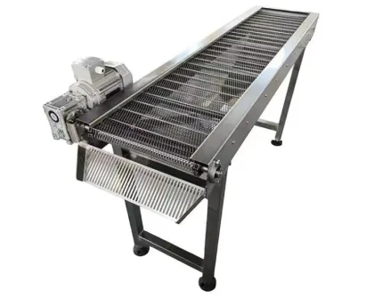 Best Belt Conveyor Systems