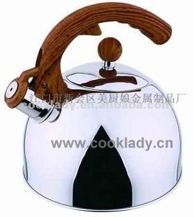metal water kettle CL4501