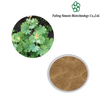 Pure Macleaya Cordata Extract for Holistic Health Solutions