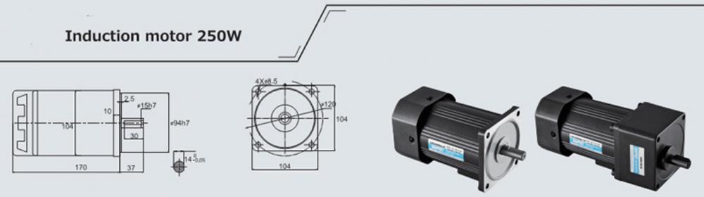 250w Induction Ac Motor