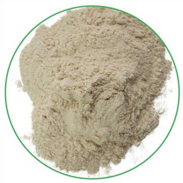 Food grade organic rice protein with competitive price