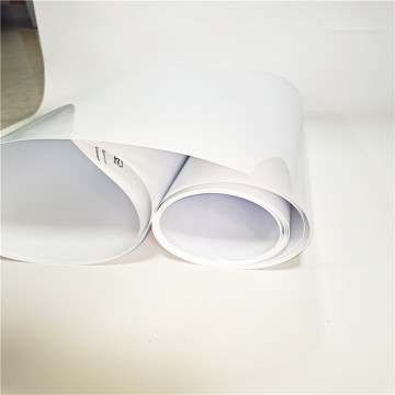 rigid PP food packing film roll