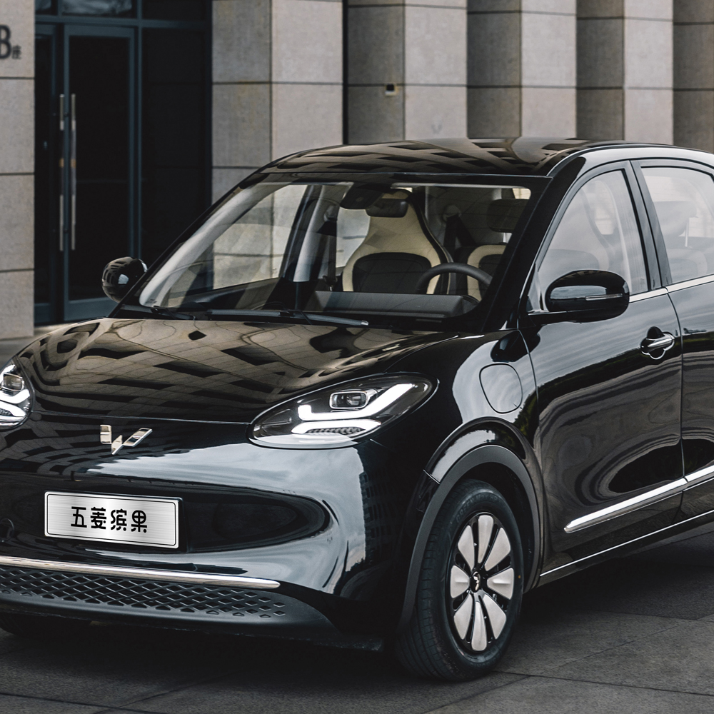 Wuling Bingo family car