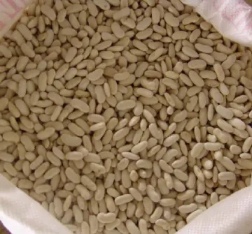 Long White Kidney Beans