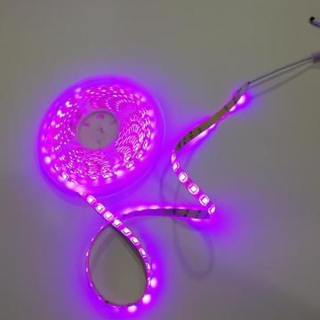 LED Body Sensor Bed Light for Double