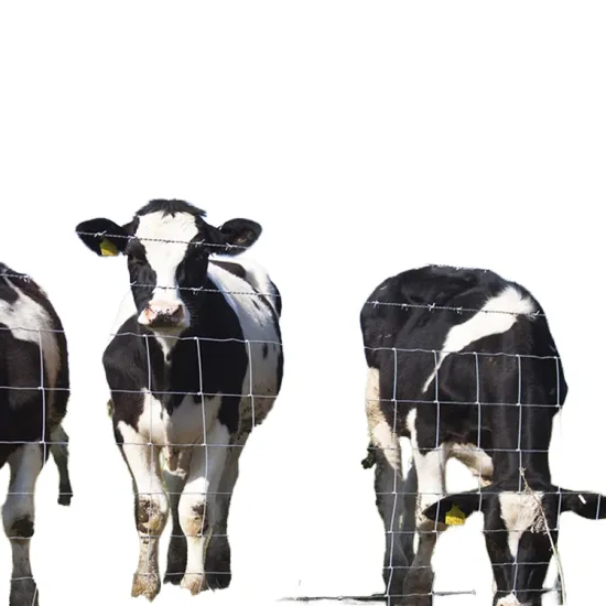 8 ft Height Woven Twill Deer Fence for Livestock - 50mm x 50mm Mesh