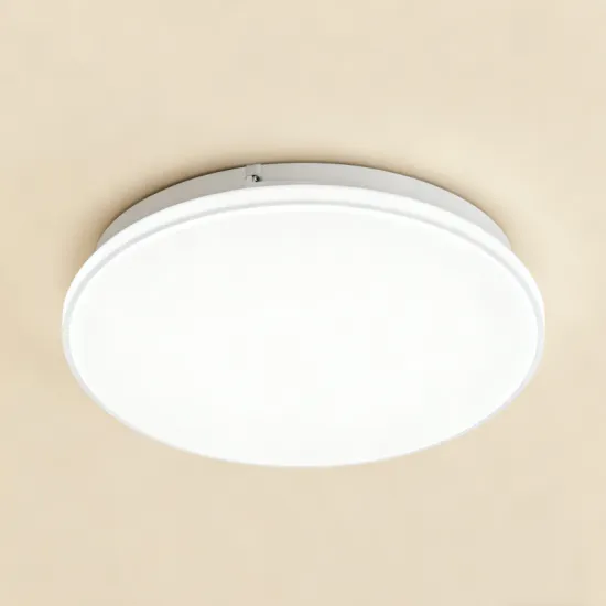 Sleek Design LED Ceiling Lamp for Living Room