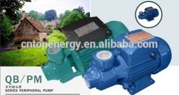New Type Long Running Double Voltage 110v/220v 0.5hp Qb60 Electric Clean Water Pump Gardening Tools with Termal Protector