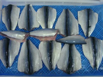 frozen pacific mackerel butterfly fillet