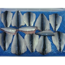 pacifické filé z makrely zmrazené