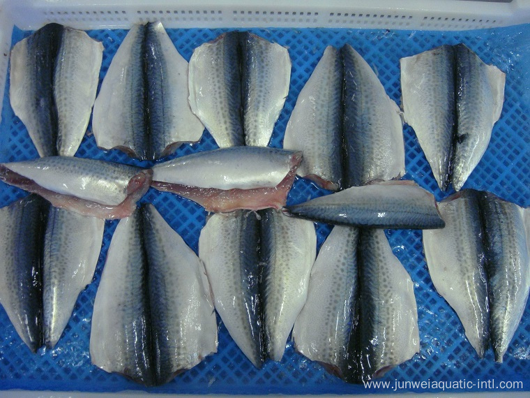 frozen pacific mackerel butterfly fillet