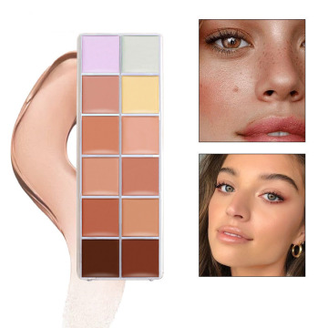 Nouvelle étiquette privée de maquillage de maquillage 12 couleurs