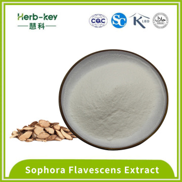 98% de alta pureza Sophora Flavescens Extracto Matrine Powder