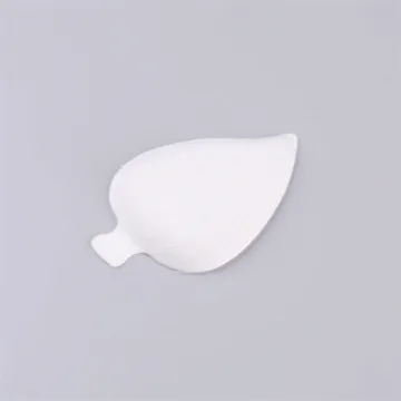 Disposable Sugarcane Bagasse Pulp Molded Food Serving Tray