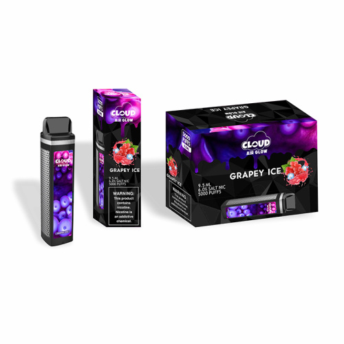Disposable Electronic Cigarette New Product Vape Pen
