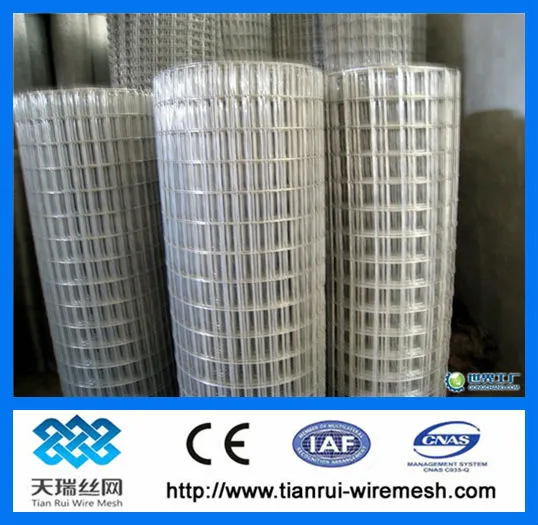 Galvanized welded wire mesh for India Market