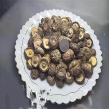 Natur getrocknete Shiitake -Pilze