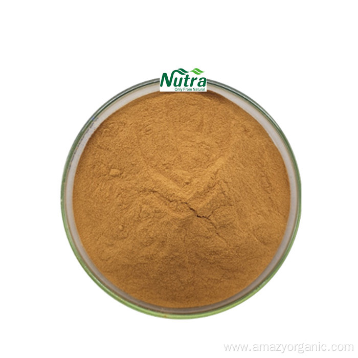 Organic Alisma Extract Powder