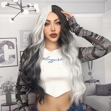 Ainizi Luxury Synthetic Non Lace Wig Black Mixed White Color Fashion Wig for White Women
