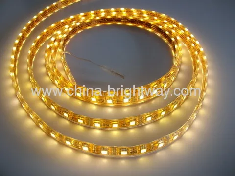 Waterproof Ip67 Smd5050 60 Led Flexible Strip Light 