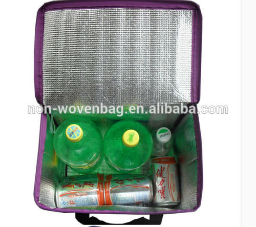 Cooler Bag for Frozen Food,Cheap Cooler Bag/gel cooler bag