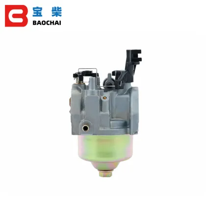 Gas Carburetors P19A-2 for ER2500 Engine Range Extender