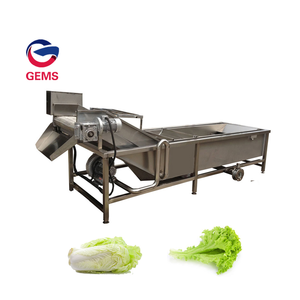 Italy Automatic Ginger Washing and Peeling Machine