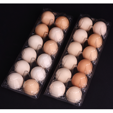 plastic egg packing tray for supermarket 15 holes