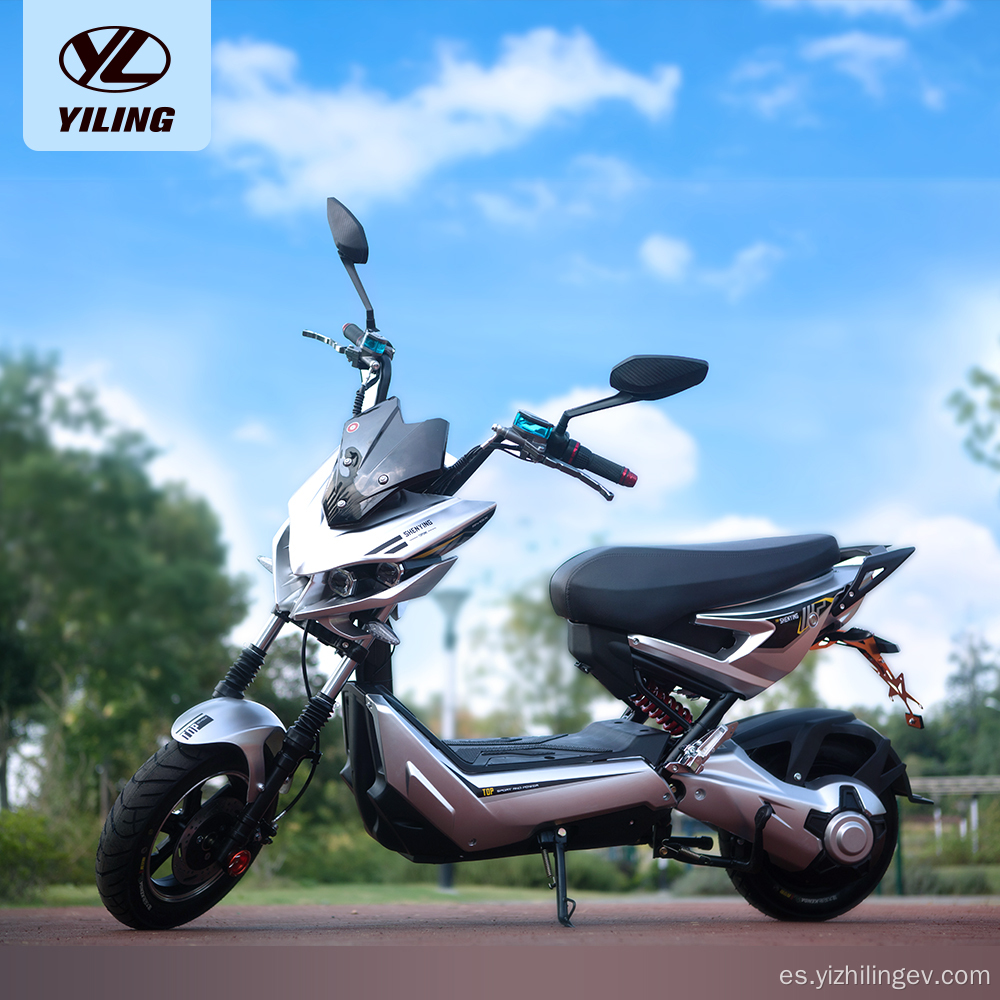 2 persona 4000W Scooter eléctrico con canasta