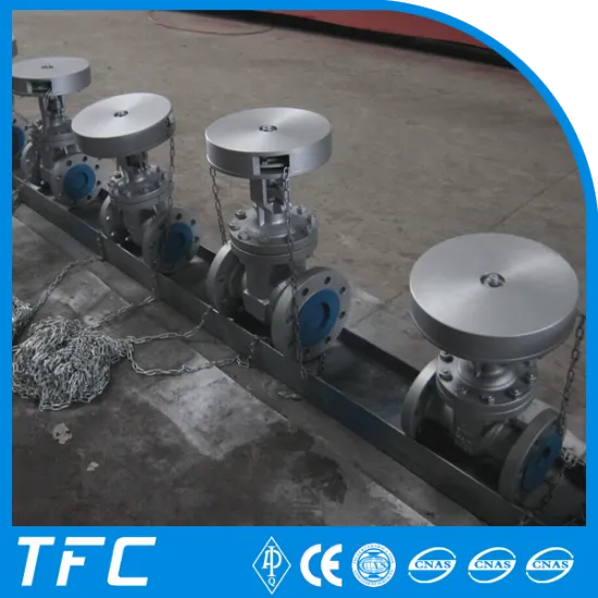 chain wheel operator flexible wedge gate valve