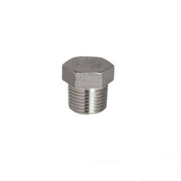 Stainless Steel Hex Head Plug Screws