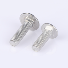 Various types of stainless steel carriage bolts