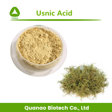 Lichen Usnea Extract Usnic Acid 98% Powder HPLC