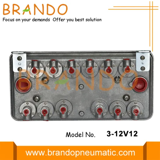 3-12V12 Remote Pilot Solenoid Valve Box Enclosure