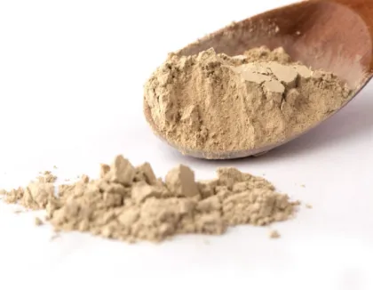 Supply Pure Natural Fucoidan Powder CAS# 9072-19-9