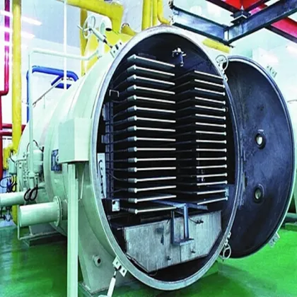 Industrial freeze drying machine Vegetable dryer