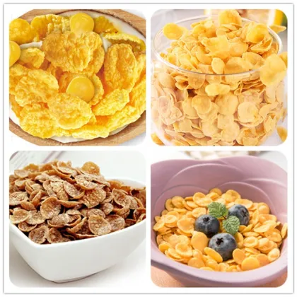 Cereal Manufacturing: Extruder Machines for Breakfast Cereals