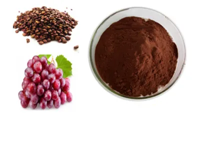 Fruit Extract Organic OPC Grape Seed Extract Powder