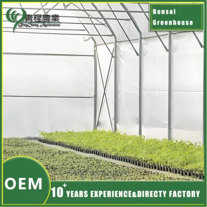 Bonsai Greenhouse for Indoor Plant Care