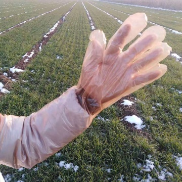Популярные оранжевые одноразовые ветеринарные перчатки с длинными рукавами из полиэтилена