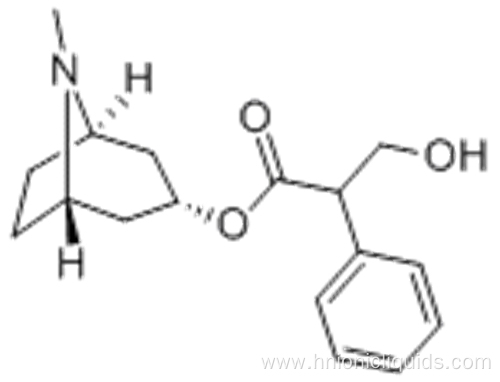 Atropine CAS 51-55-8