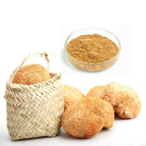 Lower Price Hericium Erinaceus Lion's Mane Extract Powder