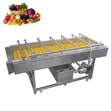Potato Skin Removal Machine: Root Vegetable Brush Cleaner