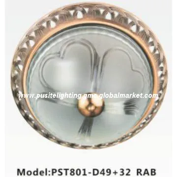 RAB color base and Glass Cover Ceiling Lamps