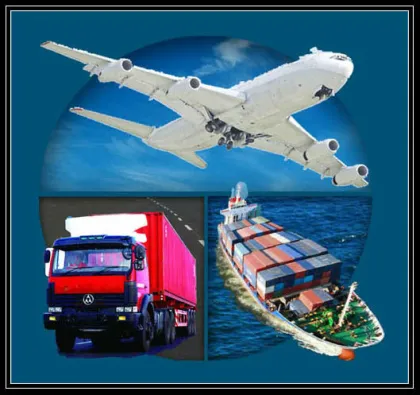 20/40GP sea service from Guangzhou China to Wellington New Zealand