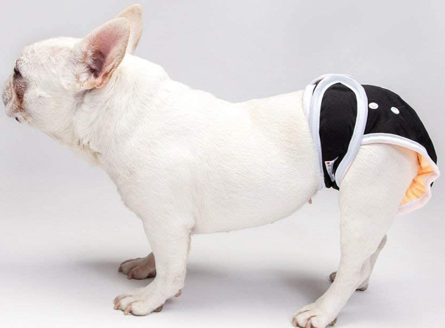 Washable Wonders Dog Diapers for Male