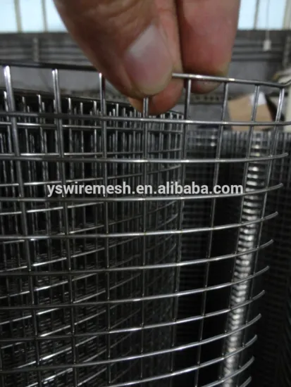 shining bright galvanized welded mesh