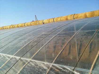 HPO greenhouse film/greenhouse film/ agriculture greenhouse 3 layer film/different specification/function film