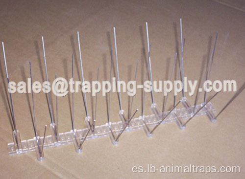 Base de policarbonato LB-53 Spike de pájaros de acero inoxidable