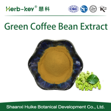 Fleckversorgung Chlorogensäuregrüne Kaffeebohnenextrakt
